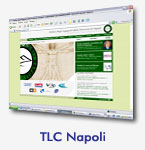 Commissione per le Telecomunicazioni - Ordine degli Ingegneri di Napoli